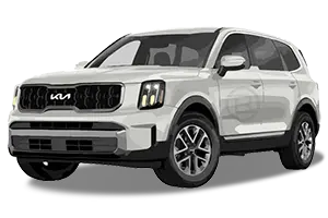 2020-2025 Kia Telluride Autostop Eliminator