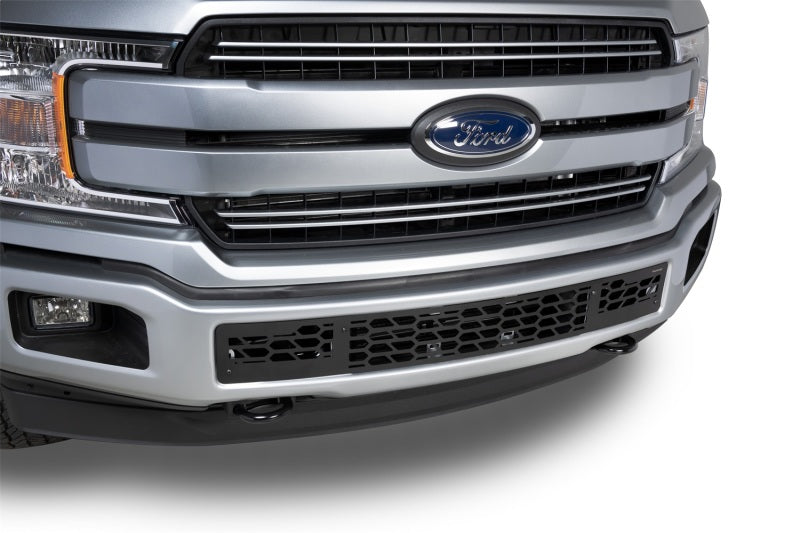 Putco 18-20 Ford F-150 - Hex Shield - Black Powder Coated Bumper Grille Inserts