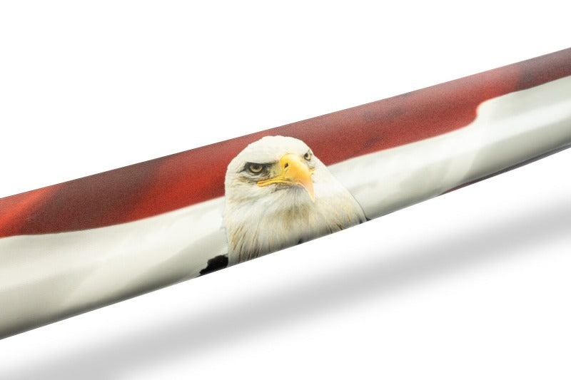 Photo - Primary