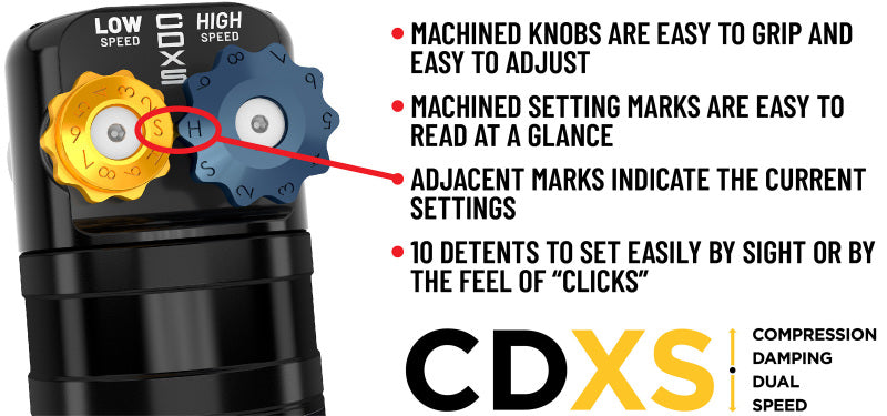 ICON 21-25 Ford D-150 4WD 2.5 Series VS RR CDXS Coilover Kit