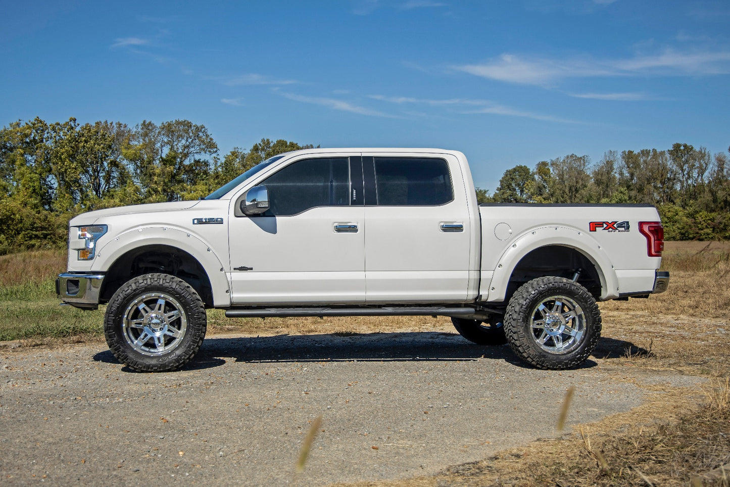 Rough Country Ford Oval Nerf Step Bars (15-20 F-150 SuperCrew Cab)